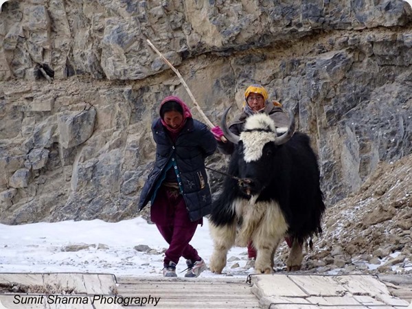 Spiti in Winters