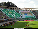 TORCIDA UNIFORMIZADA DO PALMEIRAS