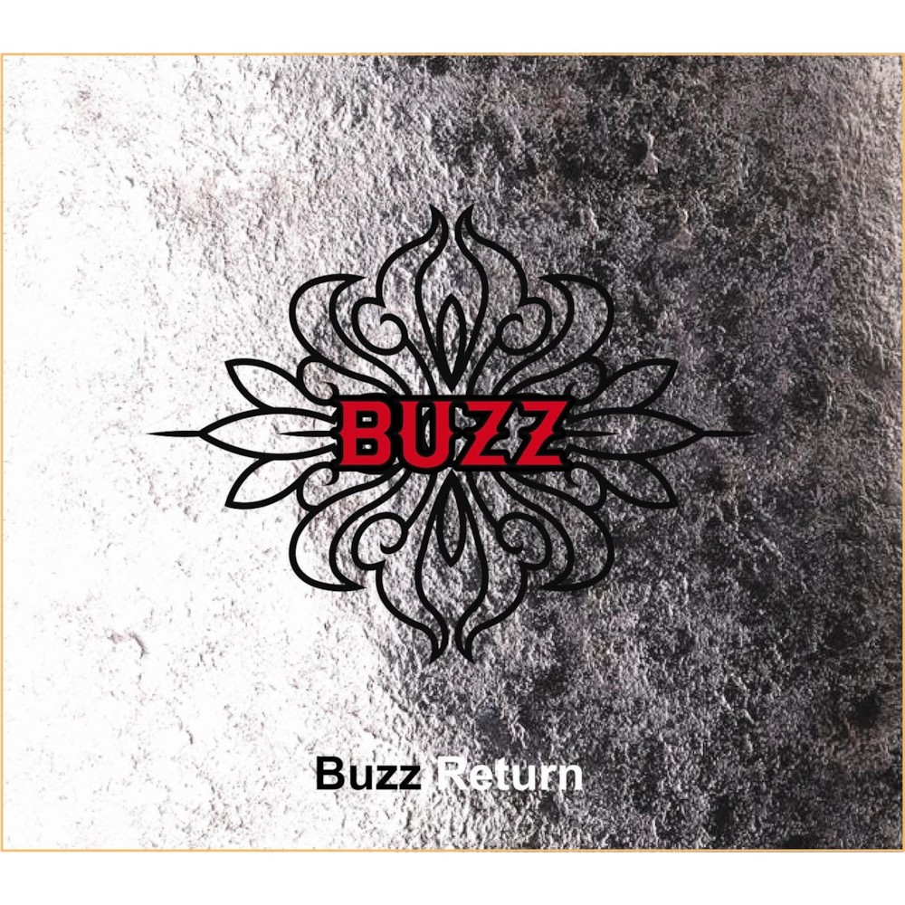 파일:Buzz Return.jpg
