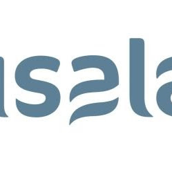 Isala Heerde logo