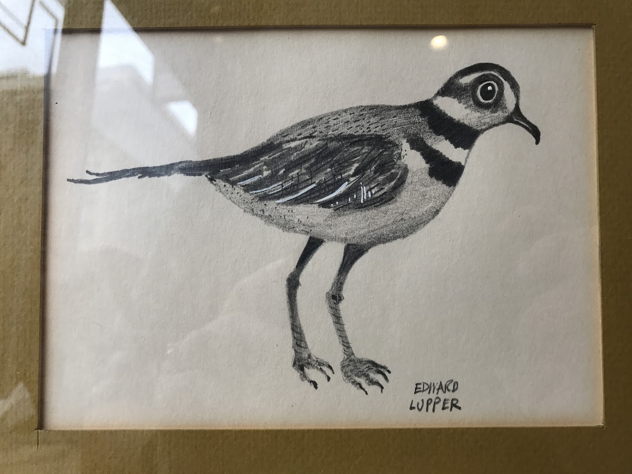 Edward Lupper Signed Bird Drawing