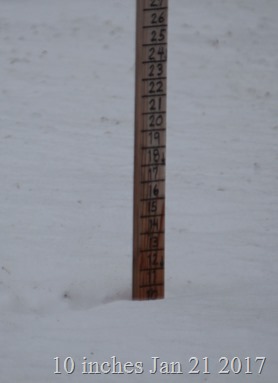 10 inches of snow