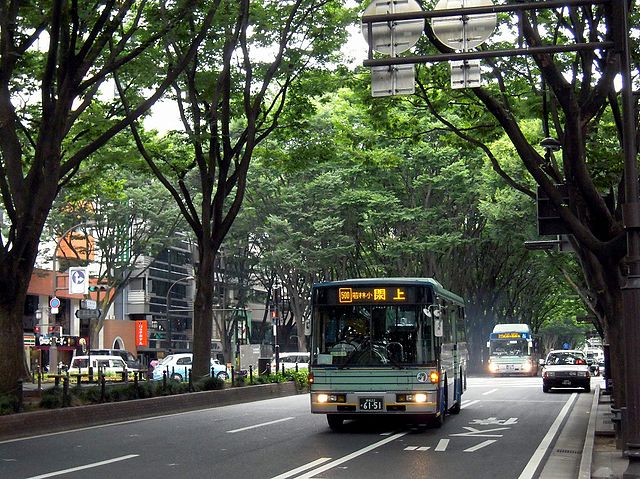 파일:640px-Sendai-city-bus-Jozenjidori.jpg