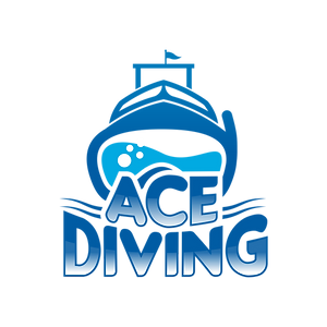 Ace Diving Miami logo