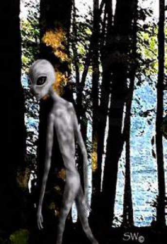 Two Men Fishing In Michigan Have Alien Sighting