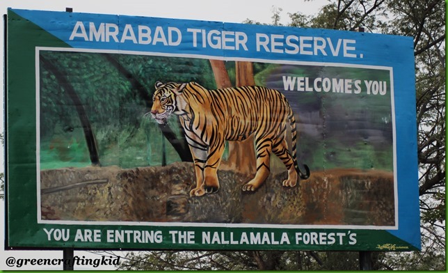 Welcome to Nallamalla forest