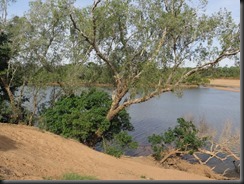 170529 038 Fitzroy Crossing Geikie Gorge NP 170529 038 Fitzroy Crossing Geikie Gorge NP