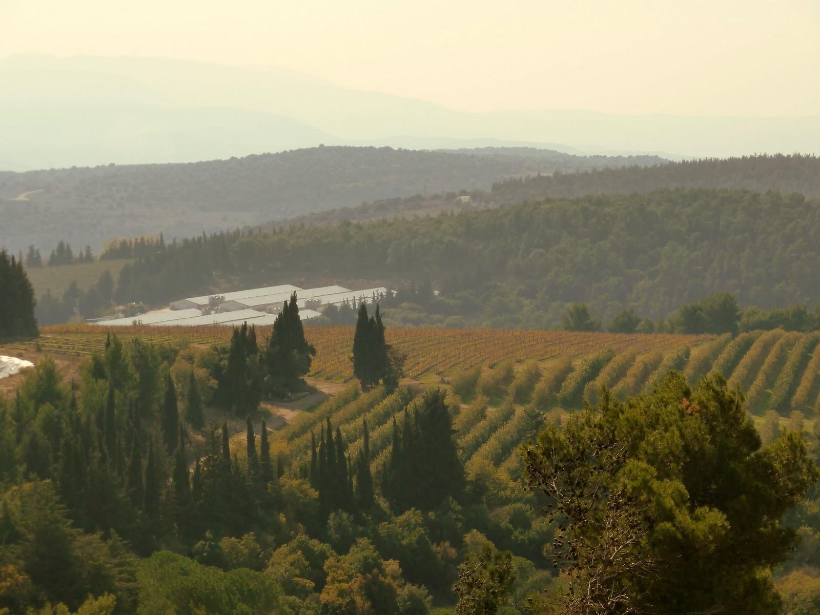 Tuscany in Israel, indeed