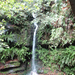 Lila Falls (93253)