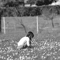 Il silenzio della natura di 