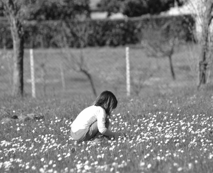 Il silenzio della natura di stefania.gazzola