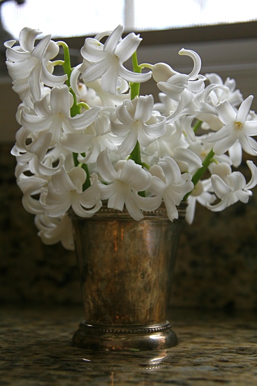 White hyacinths, Foto by Jaime Blogers