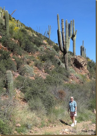 Switchback trail