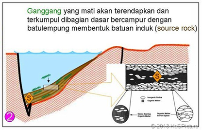 Proses pembentukan minyak bumi