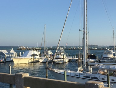 Boats in the harbor