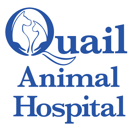 Quail Animal Hospital logo