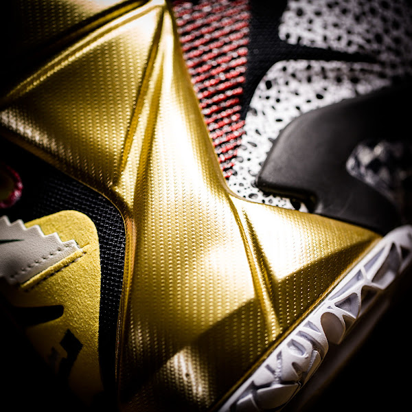 Another Compilation of Details on the What the Nike LeBron XII