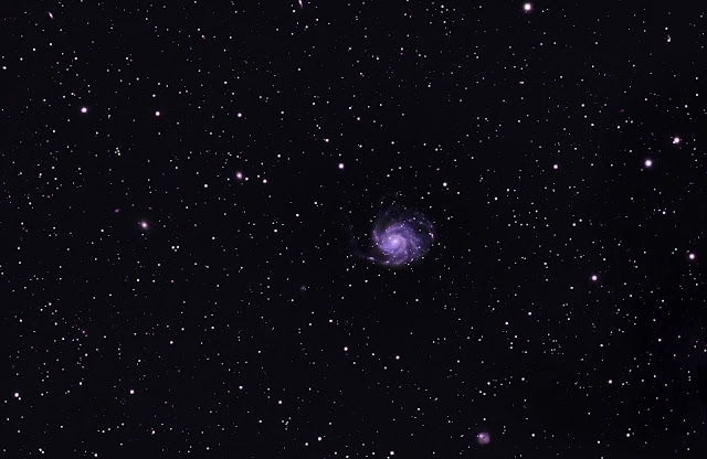 M101%2520evostar%2520master%2520image%2520copy_filtered.jpg