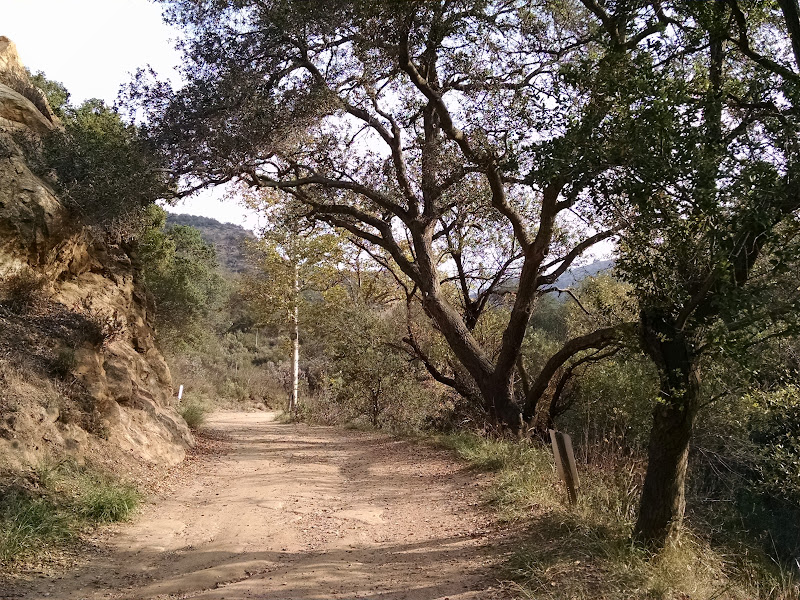 Santa Ana Mountains Traverse • Blackstar Canyon