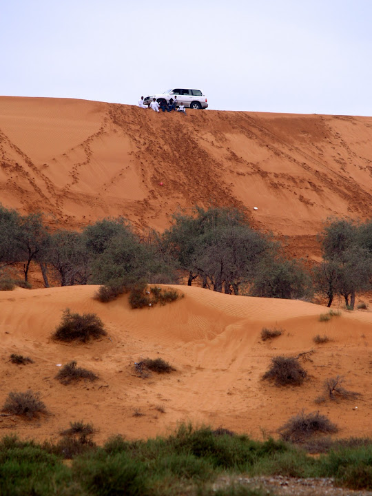 Land Cruiser up high