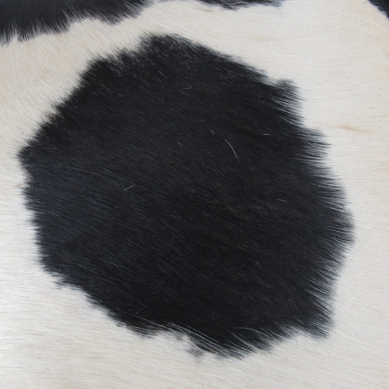 Cowhide Pillow