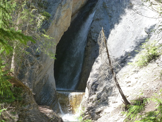 LAS ROCOSAS DE CANADA. YELLOWSTONE Y GRAND TETON. - Blogs de Canada - PN de Yoho: Natural Bridge. Lake Emerald. Takakka Falls. Laughing Falls. 3 de Ju (18)