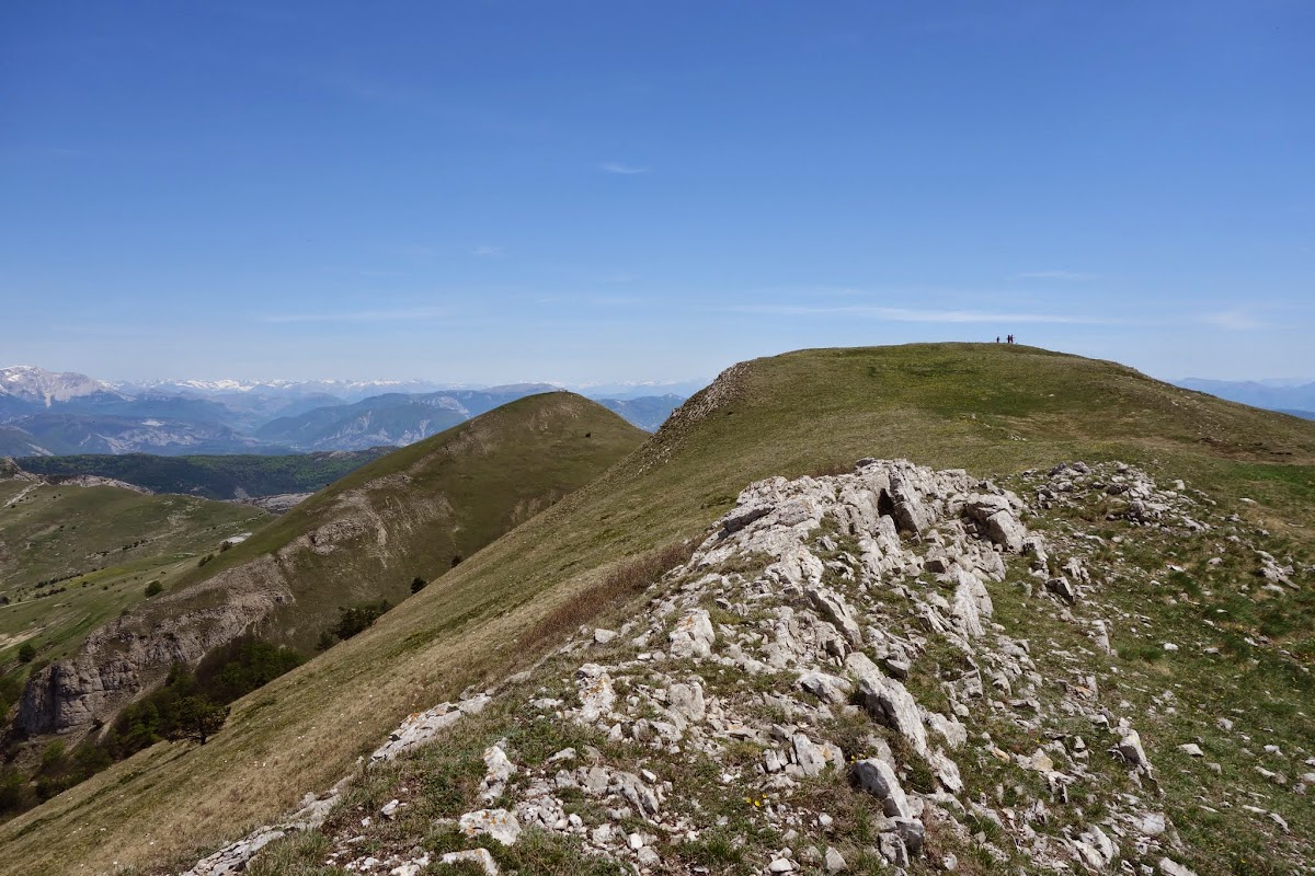 DSC02174.JPG