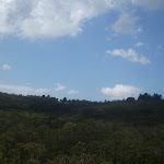 Looking across the valley to Valley Rd (41859)