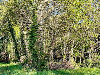 terrain à Gaillan-en-Médoc (33)