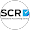 SCR Professional Accounting Services