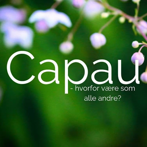 Capau logo