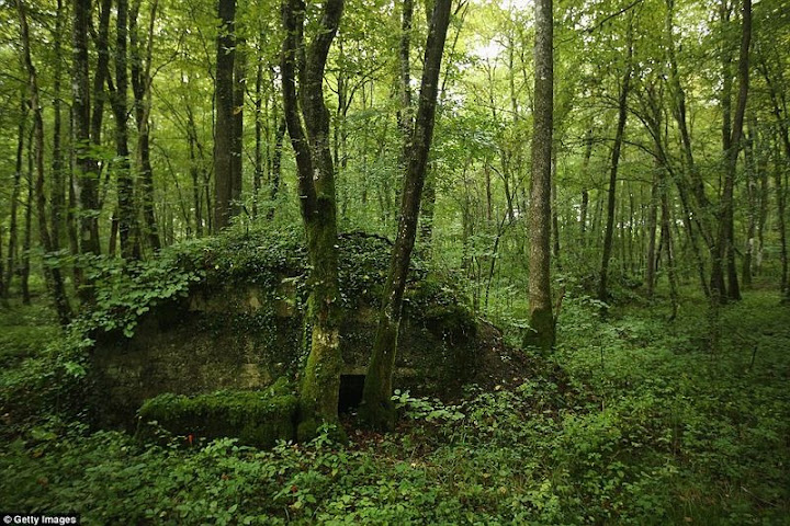 A sangrenta Batalha de Verdun