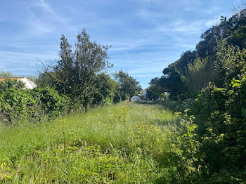 terrain à Noirmoutier-en-l'Ile (85)