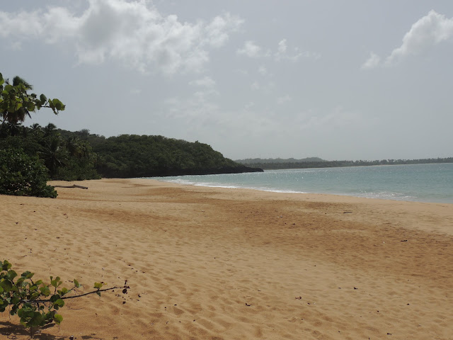 Excursión con Santi a la Cascada Limón y Playa Morón - Santo Domingo y Samaná a nuestro aire. (13)