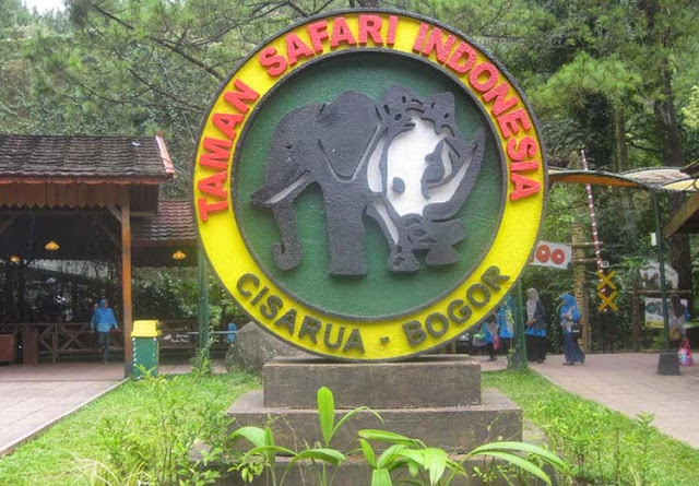 Serunya Bertamasya ke Taman Safari Indonesia 