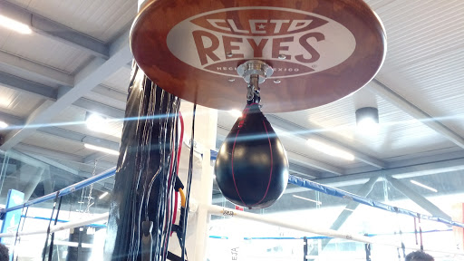 La Vieja Guardia Gimnasio de Box, bajo casi esquina con monte camerum, Av. Paseo de las Palmas, Ciudad de México, México, Gimnasio | Cuauhtémoc