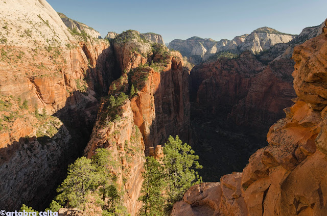 ANGELS LANDING TRAIL EN ZION N.P. - OESTE DE EEUU 2015. UN MES POR LOS PARQUES NATURALES DE 6 ESTADOS (TERMINADO!!) (20)