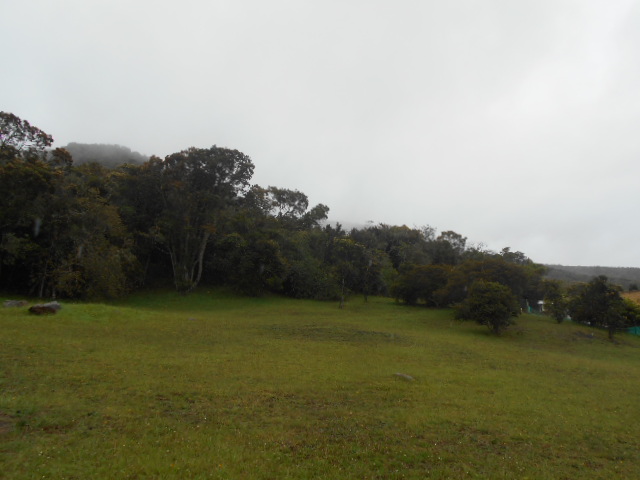Lote En Venta - Sindamanoy, Chia