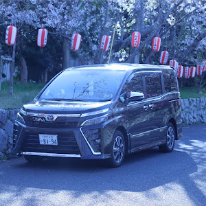 ヴォクシー ZRR80W