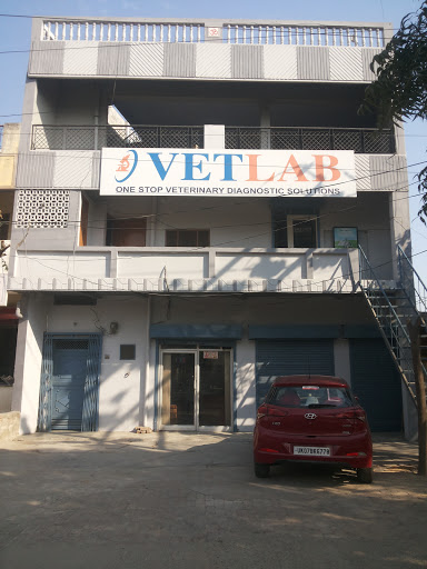 VETLAB, H no 387 1st floor next to Tvs showroom, Roorkee Rd, Meerut, Uttar Pradesh 250001, India, Veterinarian, state UP