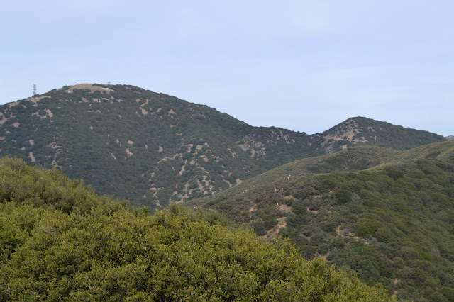 Burnt Peak