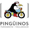 APPingüinos icon