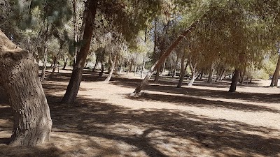 Photos of אגם ירוחם