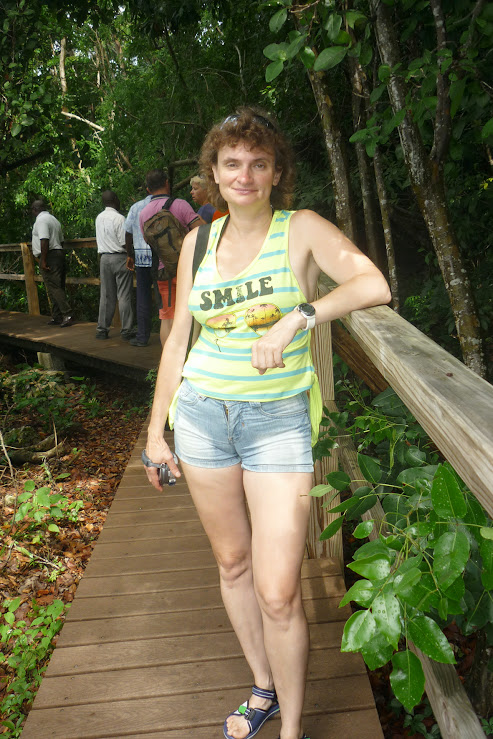 Багамы под небом Норвегии: круиз Norwegian Sky, Нью-Йорк, Ниагара, Тампа, Майами, Key West