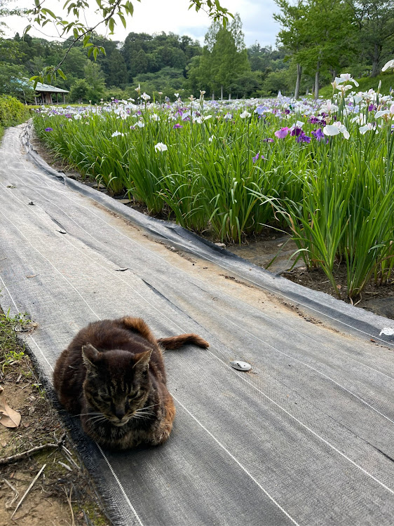 の投稿画像14枚目