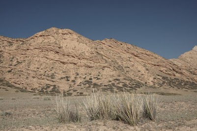 Spärliche Vegetation im trockenen Tal südlich von Terek