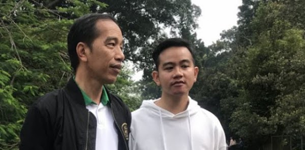 Jokowi Minta Nasdem Tak Usung Iparnya, Semestinya Berlaku Juga Bagi Anak Dan Menantunya