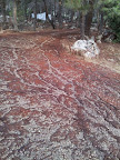 IMG-20130922-WA0000.jpg