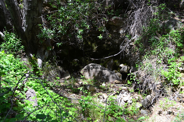 water dribbling down a bit of rock wall