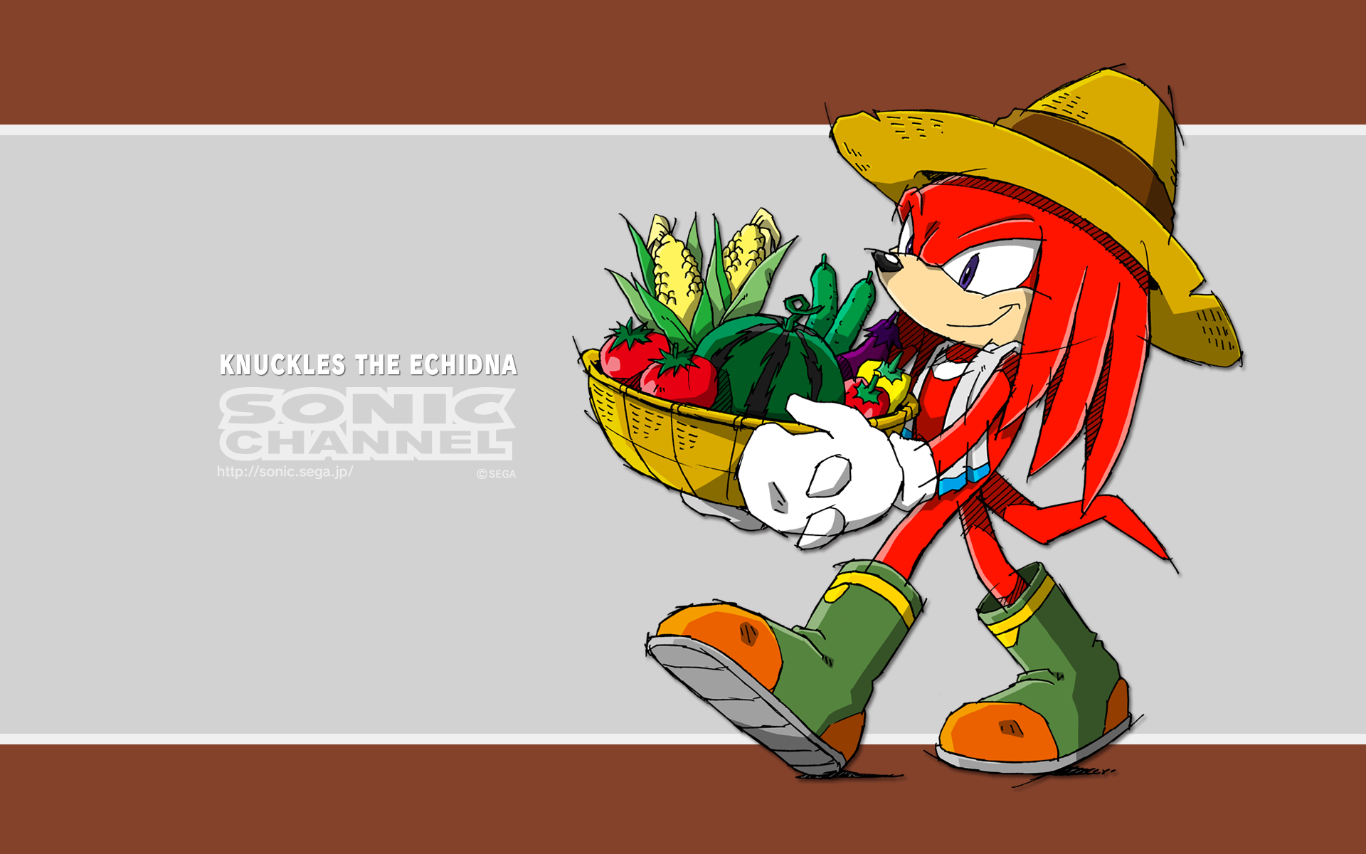 Knuckles the Echidna (August 2014) - Sonic Channel Wallpaper - Sonic ...